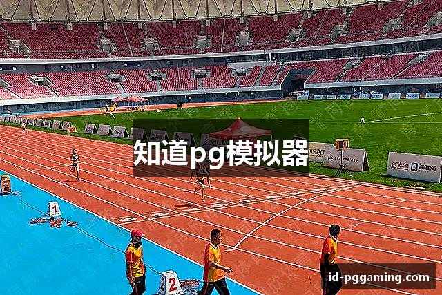 知道pg模拟器